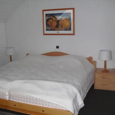 Apartament First Class Winterberg